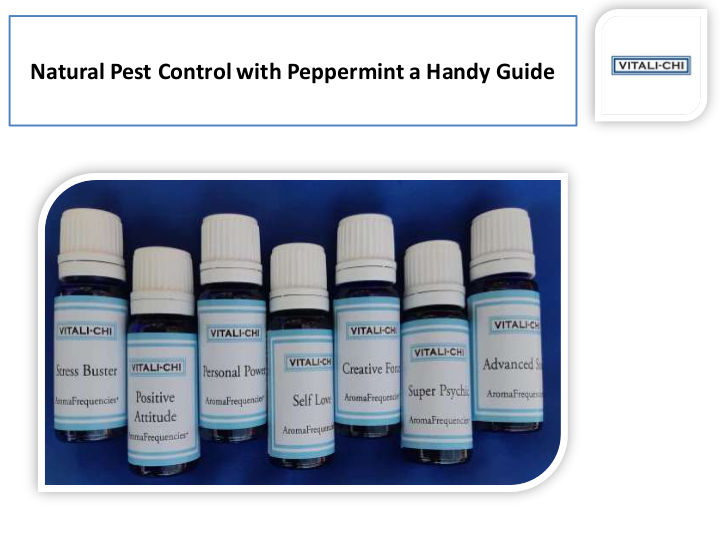 Use for Peppermint Oil Rodent Repellent and Peppermint Spray for Spider