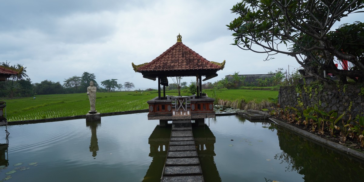 Unleash Your True Potential: Join a Yoga Teacher Training in Bali