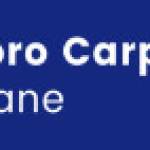 CarpetRepair Brisbane Profile Picture