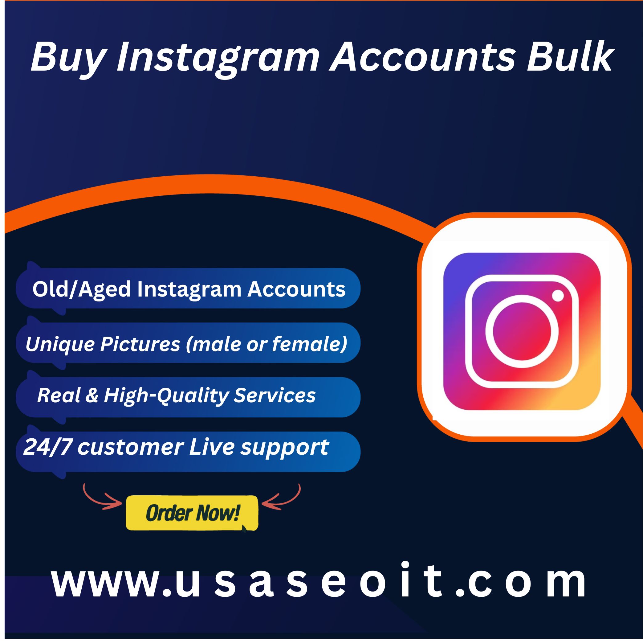 Buy Instagram Accounts Bulk - USA SEO IT