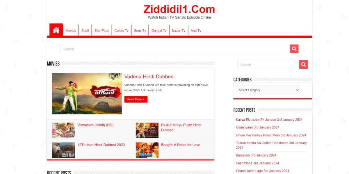 ziddiDil1.Com