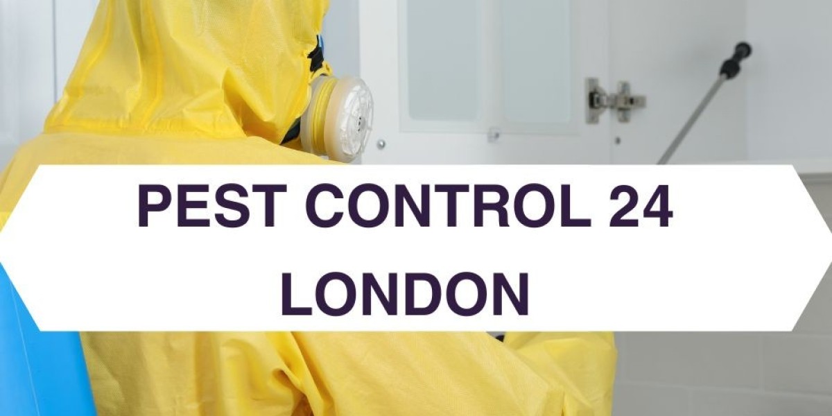 Effective Pest Control Services in London - Your Reliable Pest Management Solution