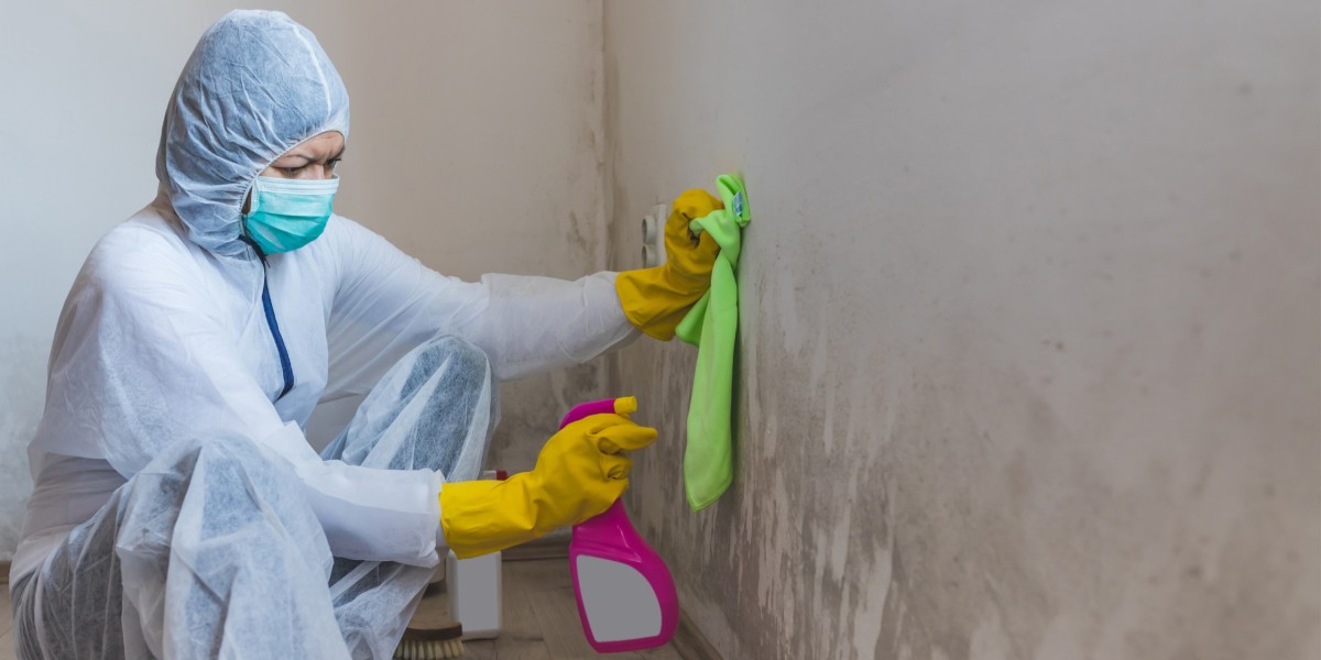 The Importance of Hiring Certified Mold Remediation Specialists