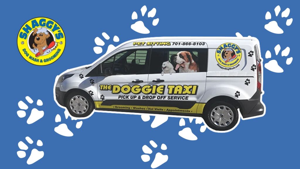 Paws and Rides: The Convenience of Pet Taxi Services in Fargo - XuzPost