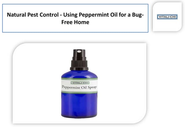 Get the Peppermint Oil Bug repellent and for Ants - Home Services.pdf