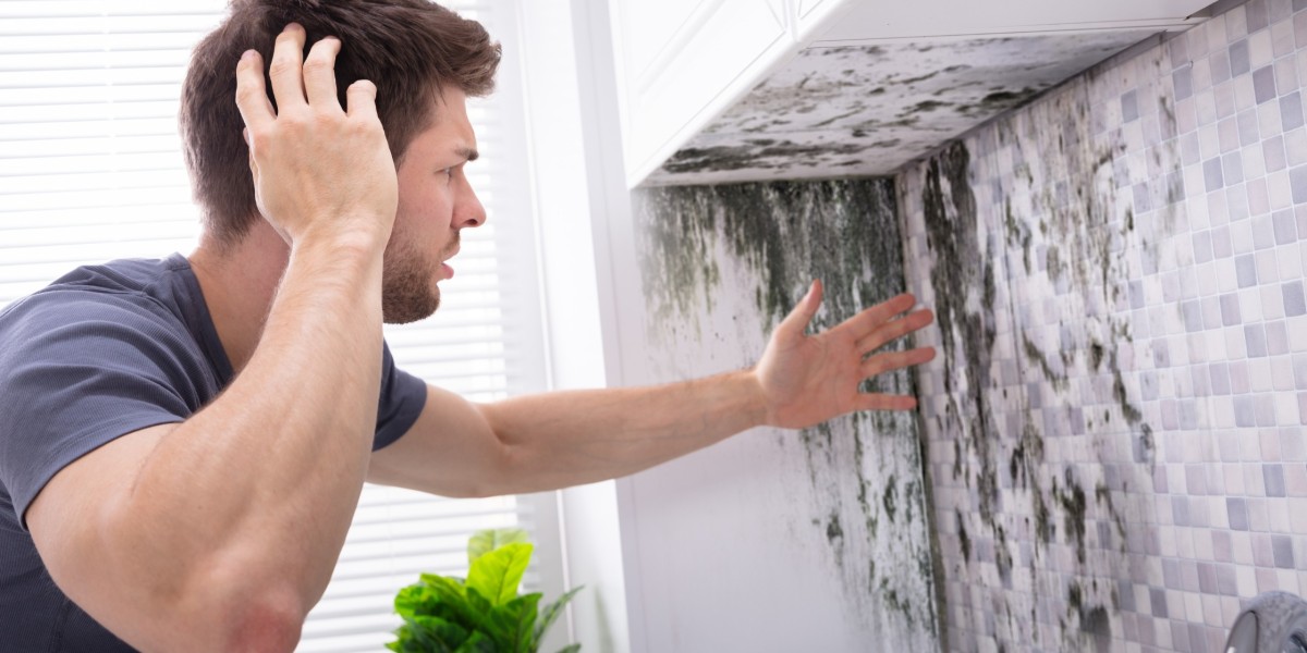 Choosing the Right Mold Removal Products