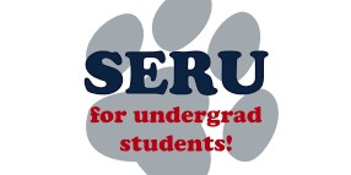 Tailoring Knowledge: Applying "Seru" to Study Materials for Personalized