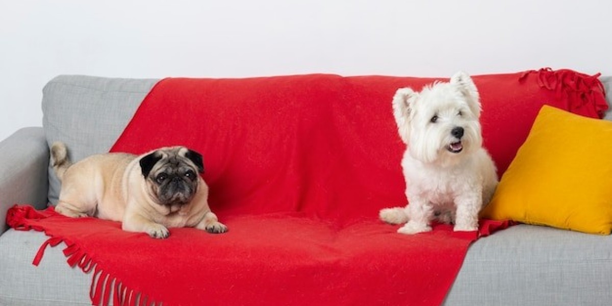 Experience Quality Sleep for Your Pet: Explore our Range of Luxury Pet Beds