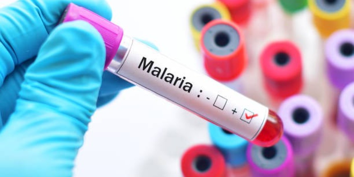 Malaria: An Overview of Its Causes, Symptoms, and Treatment