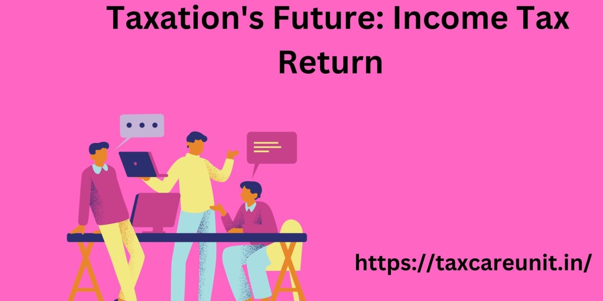 Taxation's Future: Income Tax Return