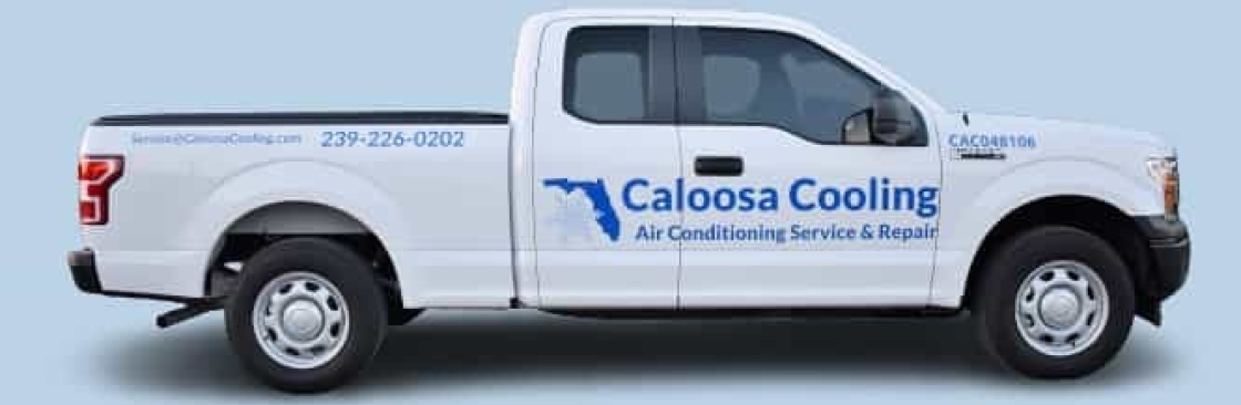 Caloosa Cooling Lee County, LLC Cover Image