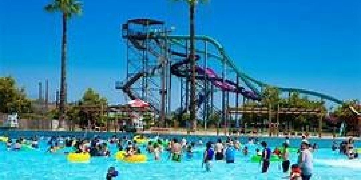 Dive into Fun: Exploring the Best Water Theme Park California