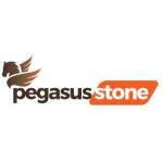 PEGASUS STONE Profile Picture