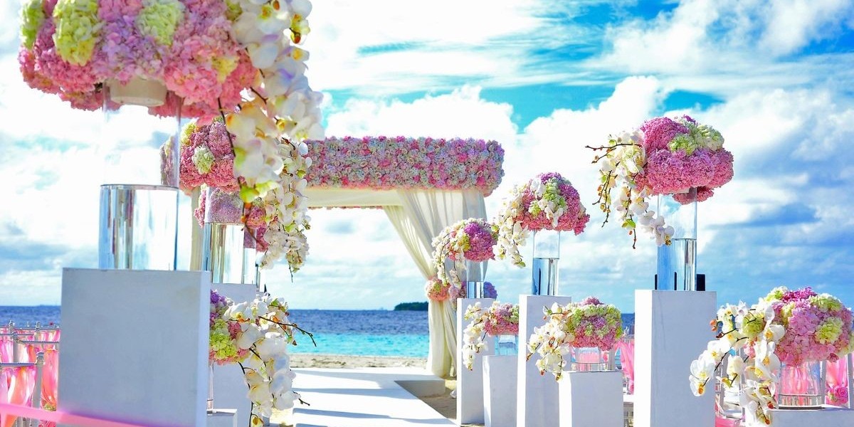 Unveiling Princess Wedding Co's Panama City Beach Wedding Packages