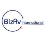 BizAv International Profile Picture
