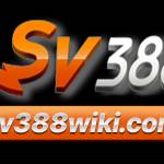sv388web Profile Picture