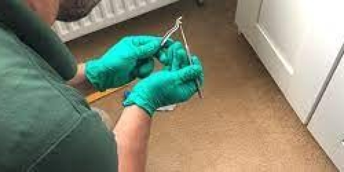 Creating a Safe Environment with Regular Carpet Cleaning Services
