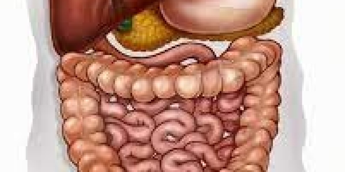 Exploring the Fascinating World of Gastroenterology: A Comprehensive Overview
