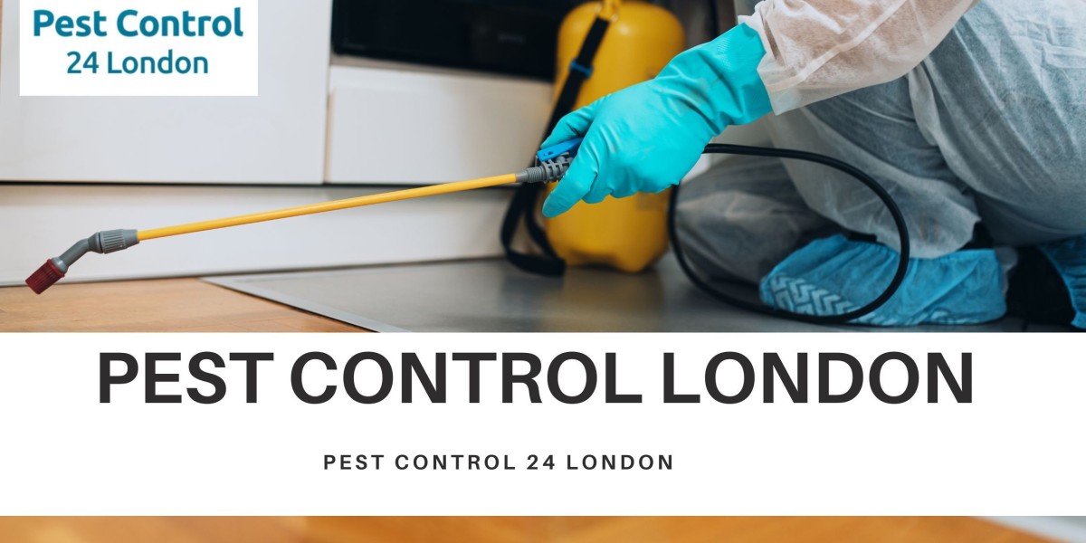 Expert Pest Control London: Your One-Stop Solution