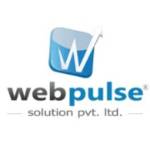 Webpulse Solution Pvt. Ltd Profile Picture