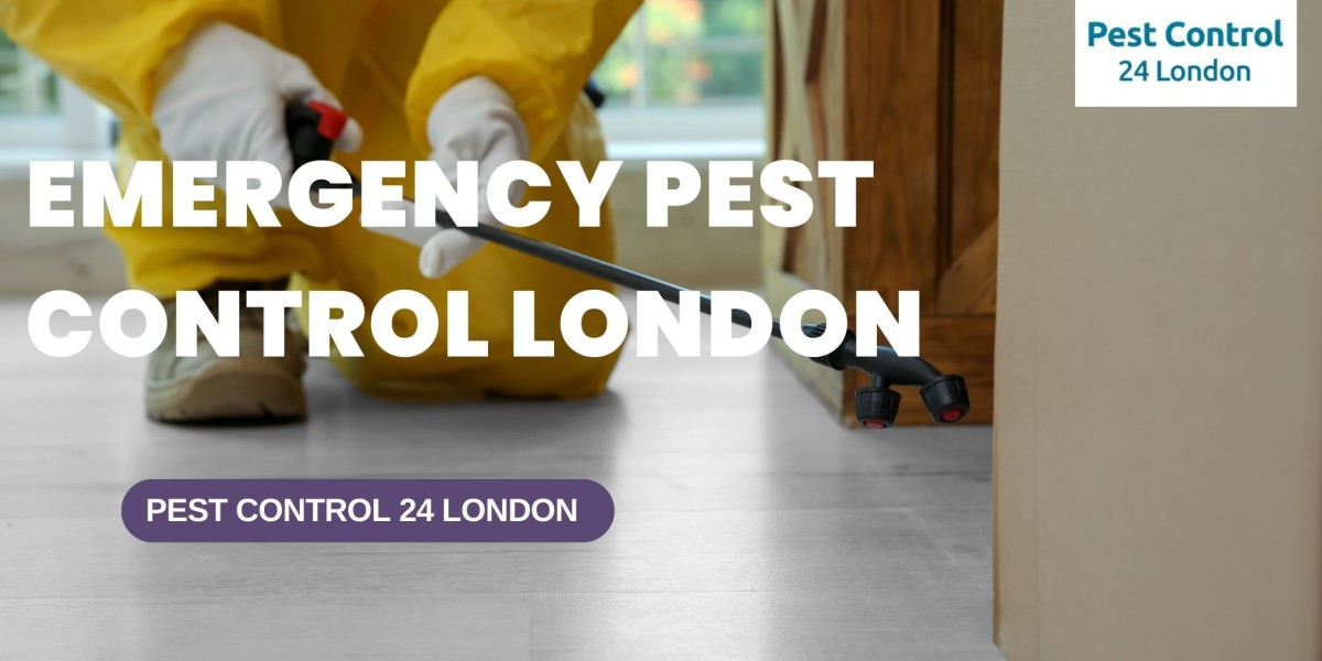 Taking care of pest infestations in London is our priority