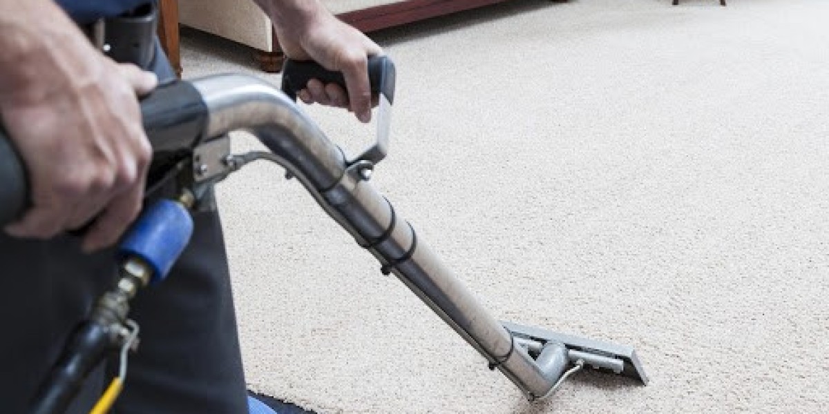 Tips and Tricks for Maintaining Your Carpet and Extending Its Lifespan in Washington DC