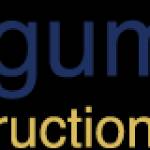 blugum constructions Profile Picture