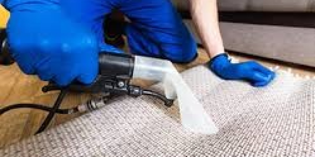 Toombul's Best-Kept Secret: The Ultimate Rug Cleaning Techniques Revealed