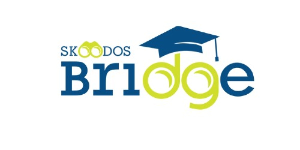 Exploring Educational Frontiers with Skoodos Bridge: A Comprehensive Guide