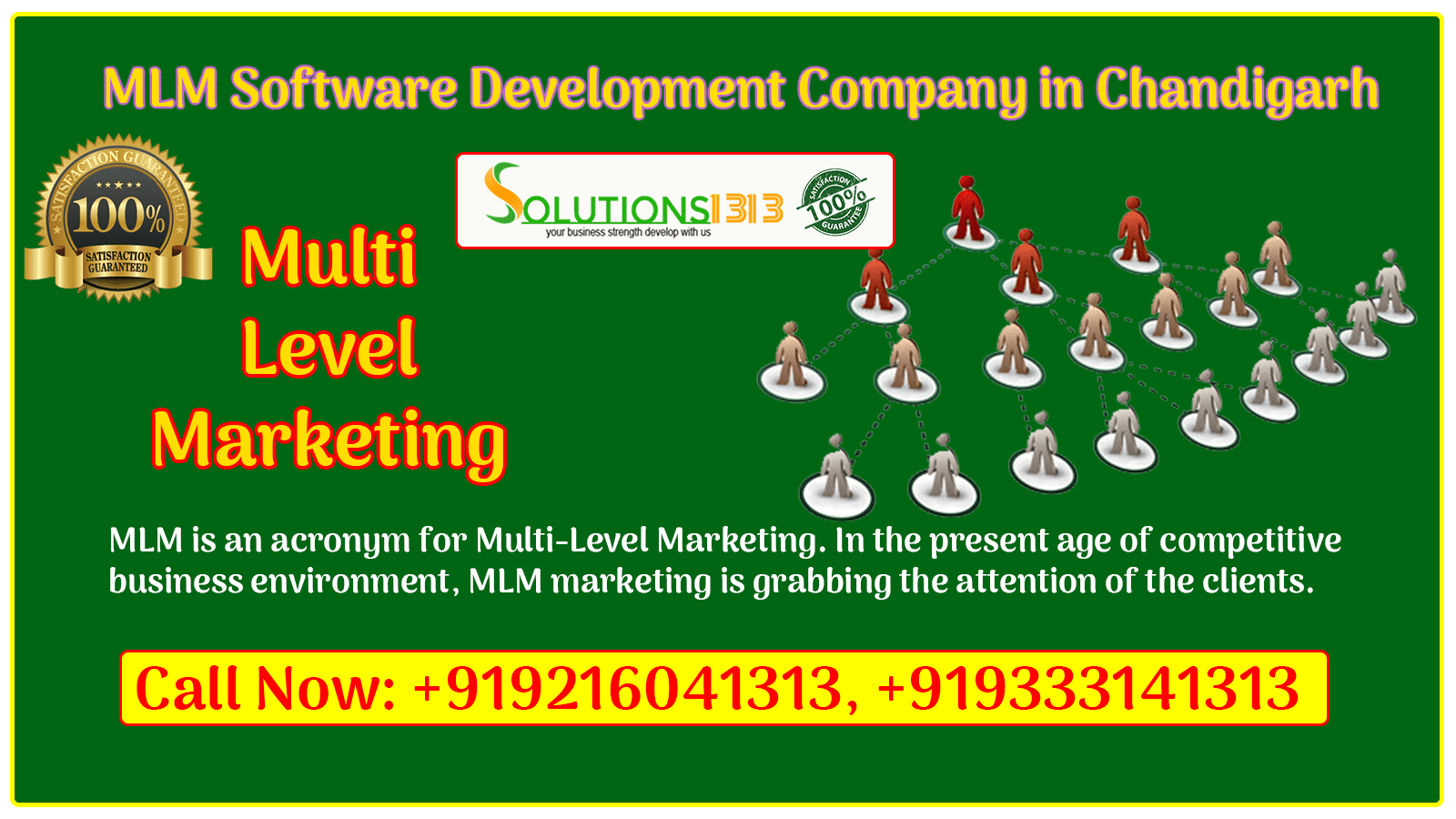 MLM Software Development Company in Chandigarh