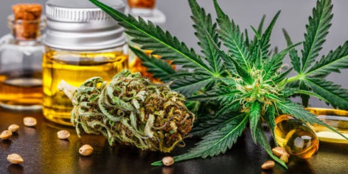 Unlocking the Potential: Medicinal Cannabis in Sydney