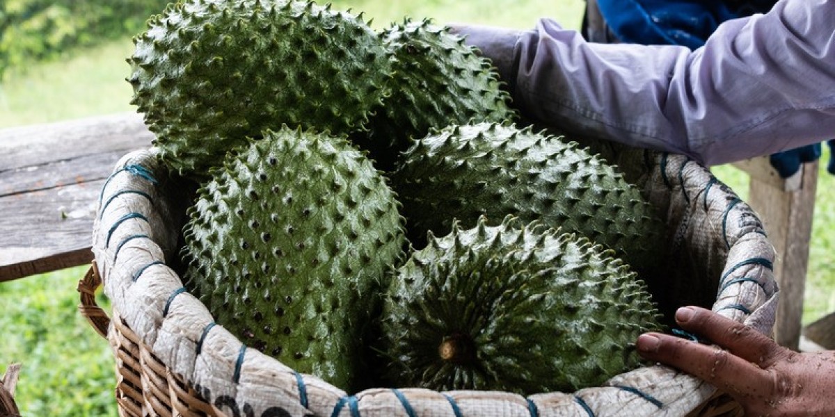 Soursop Processing Plant Project Report 2024, Setup Details, Machinery Requirements and Cost Analysis