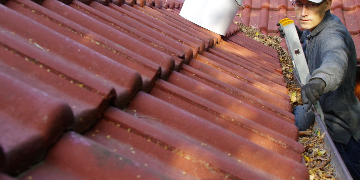 The Importance of Roof Cleaning in Maintaining Curb Appeal