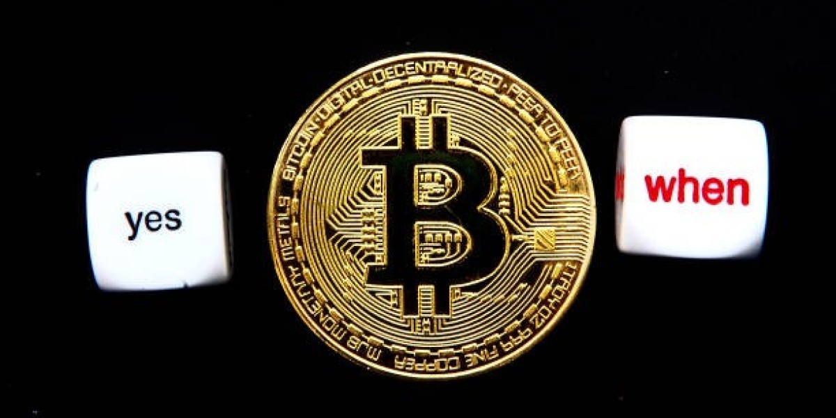Digital Luck: The Bitcoin Dice Experience