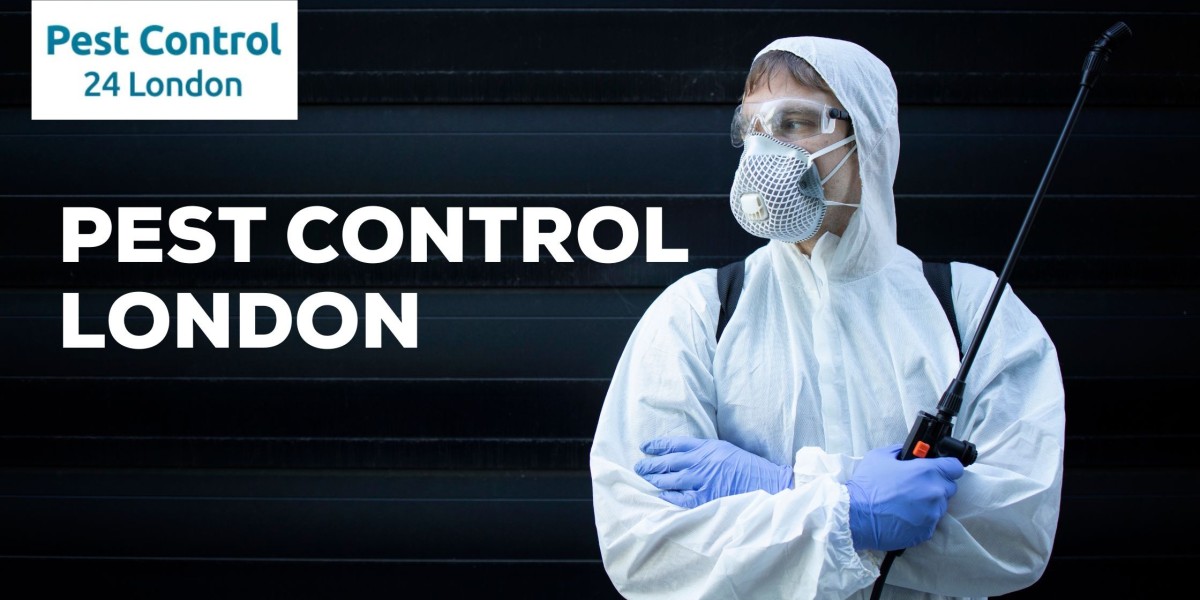 The best pest control London has to offer - Effective solutions for pest problems