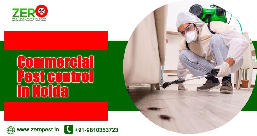 The Cost-Effective Approach to Pest Control for Startups in Noida - Zero Pest Control