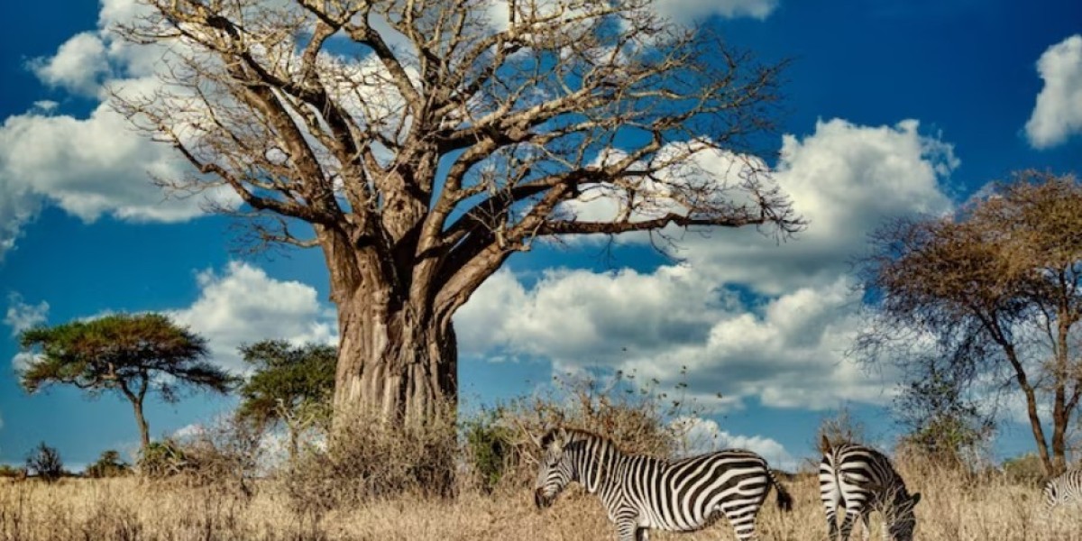 Africa Paradise Adventure - Kenya Wildlife Safari Packages