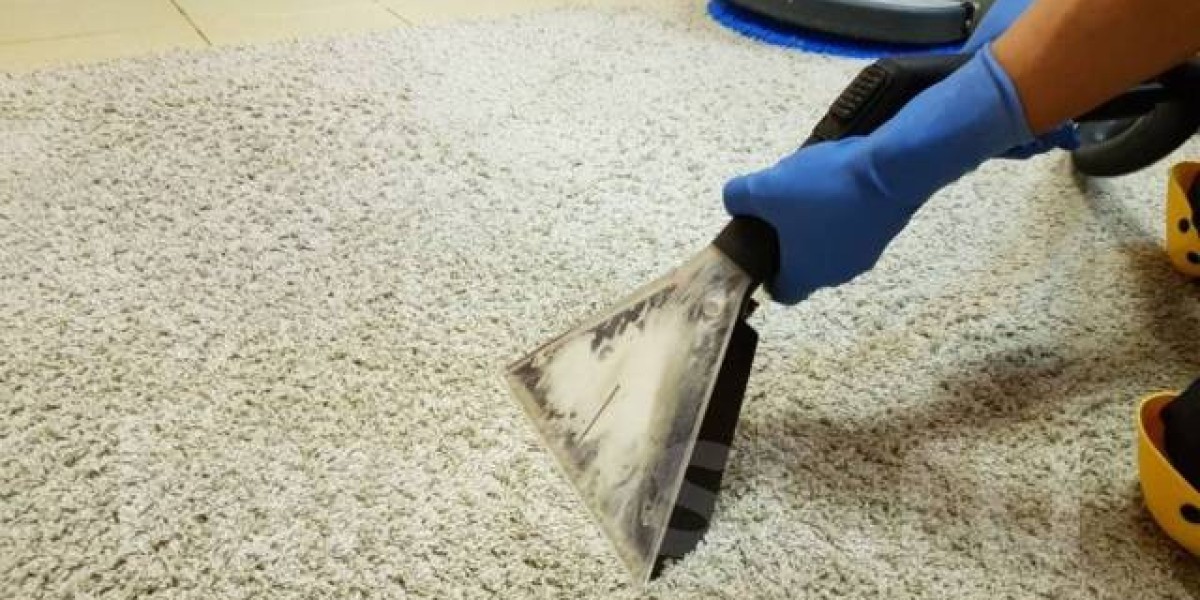 Expert-Recommended Rug Cleaning Techniques in Perth