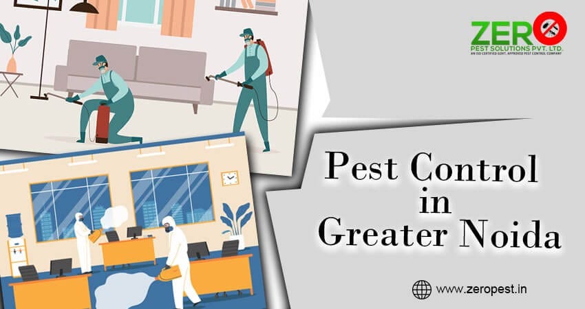 The Importance of Regular Pest Inspections in Greater Noida Properties | by Zeropestscontrol | Feb, 2024 | Medium