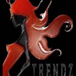 thetrendz group profile picture