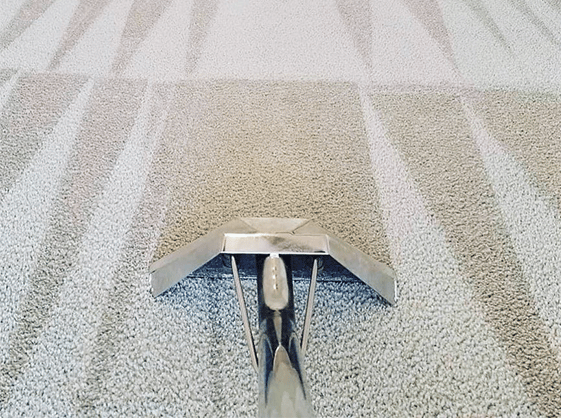 Carpet Cleaning Chelmsford CM1 | 20 000+ Positive Reviews