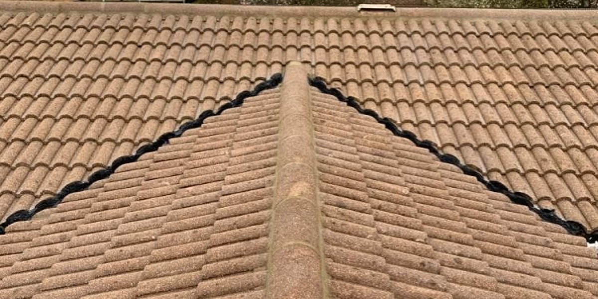 Local Surveys Ltd - Moss Control for Roofs