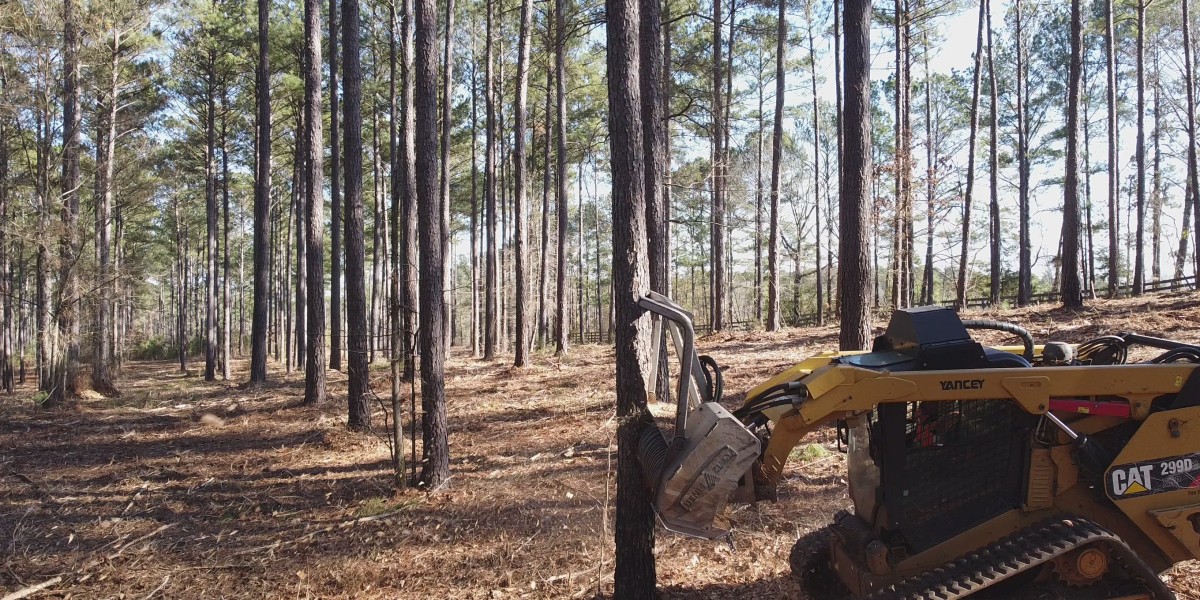 Say goodbye to unwanted vegetation! Samurai Forestry offers the best forest mulching in NSW
