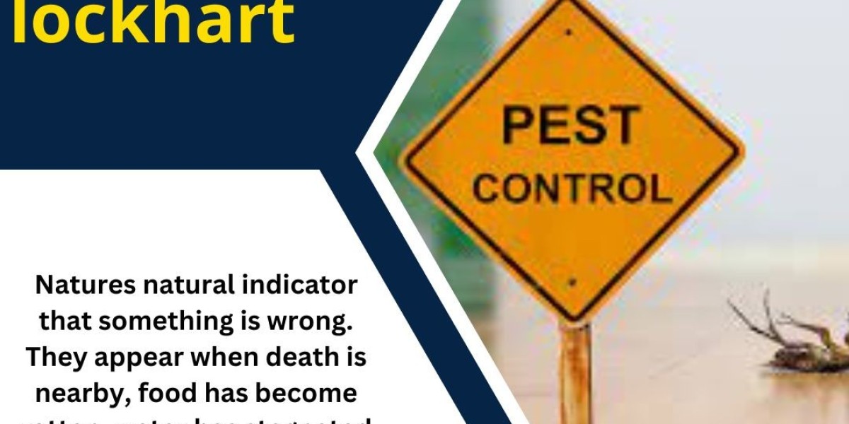 Battling Termites: Comprehensive Strategies for Termite Control in Lockhart