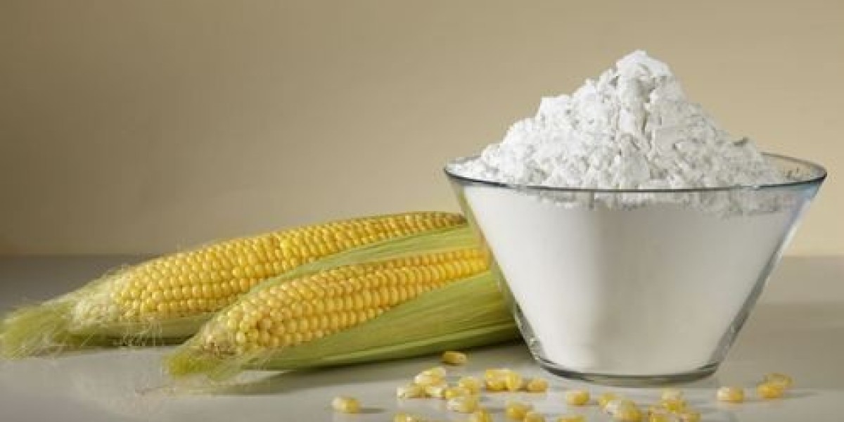 Maize Starch Manufacturing Plant Project Report 2024: Cost Analysis, and Manufacturing Process