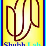 shubh lab Profile Picture