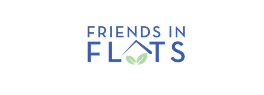 Friends in Flats Cover Image