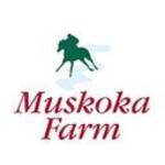 Muskoka Farm Profile Picture