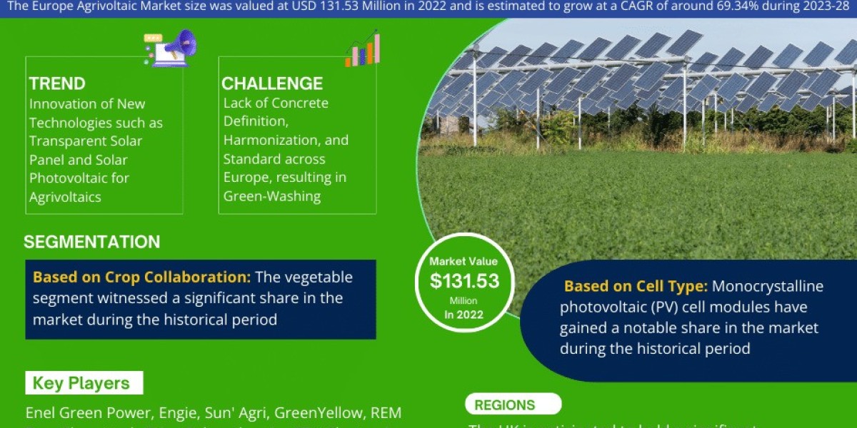 Europe Agrivoltaic Market: Demand, Growth, and Forecast 2023-2028 | Enel Green Power, Engie, Sun’ Agri, and GreenYellow