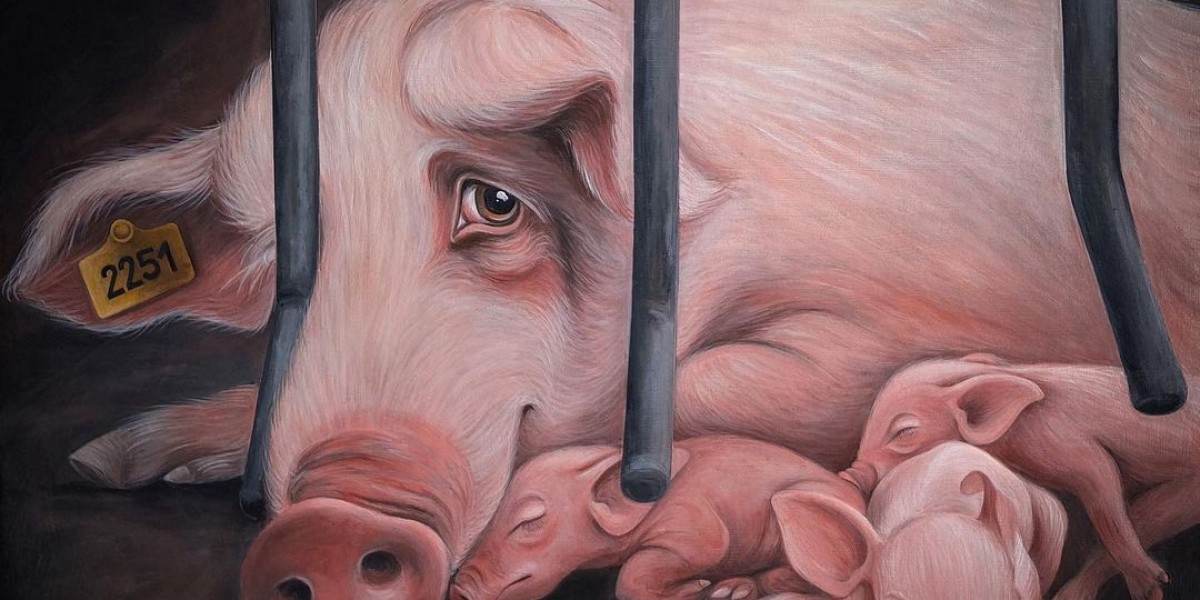 The Connection Between Vegan Diet and Factory Farm Cruelty